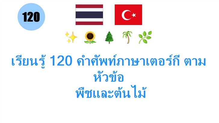เรียนรู้ 120 คำศัพท์ภาษาเตอร์กี ตามหัวข้อ: พืชและต้นไม้